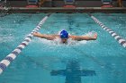 Swim vs Bentley  Wheaton College Swimming & Diving vs Bentley University. - Photo by Keith Nordstrom : Wheaton, Swimming & Diving